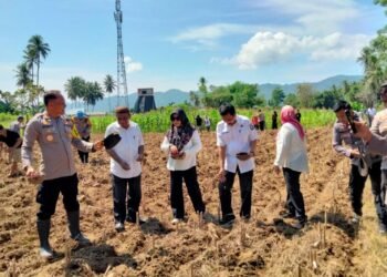 Plh Sekda Kota Gorontalo Hadiri Launching Gugus Tugas Ketahanan Pangan