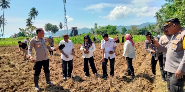 Plh Sekda Kota Gorontalo Hadiri Launching Gugus Tugas Ketahanan Pangan