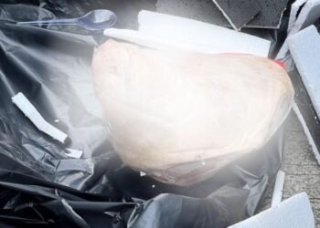 Wartawan Tempo dapat Kiriman Kepala Babi