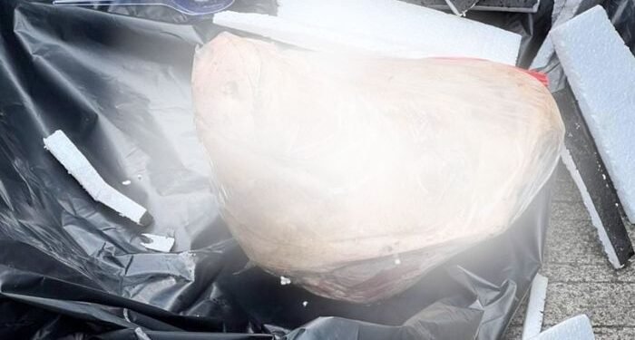 Wartawan Tempo dapat Kiriman Kepala Babi