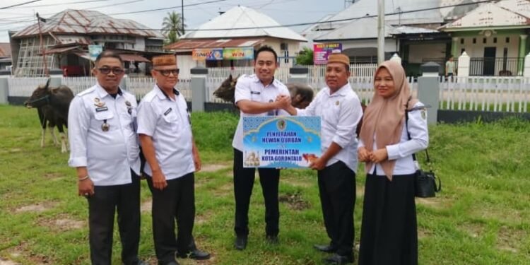 Dua Ekor Hewan Kurban Banpres Untuk Kota Gorontalo, Disembelih di Lokasi Berbeda
