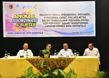 Posyandu Ujung Tombak Layanan Primer, Wawali Indra : Waktunya Satukan Langkah