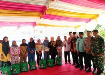 Program Bangga Kencana, Berperan Bangun Keluarga Sejahtera dan Berdaya