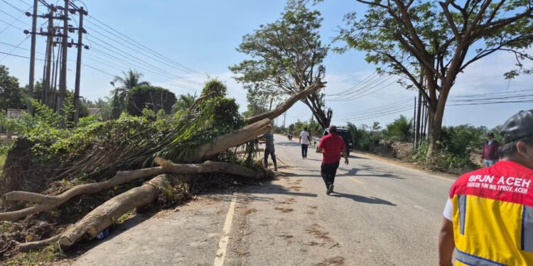 Kementerian PU Pastikan Pemulihan Tujuh Ruas Jalan Utama di Lintas Timur, Barat, dan Tengah Aceh