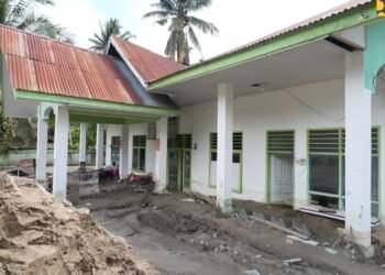 Tinjau Pemulihan Pascabencana di Aceh Tenggara, Menteri PU: Penanganan Banjir Harus Sentuh Hulu, Sabo Dam Jadi Solusi