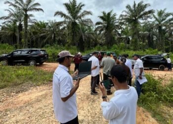 Hilirisasi Pangan Nasional, Holding Perkebunan Nusantara Melalui PalmCo Siapkan Lahan Peternakan Ayam Terintegrasi