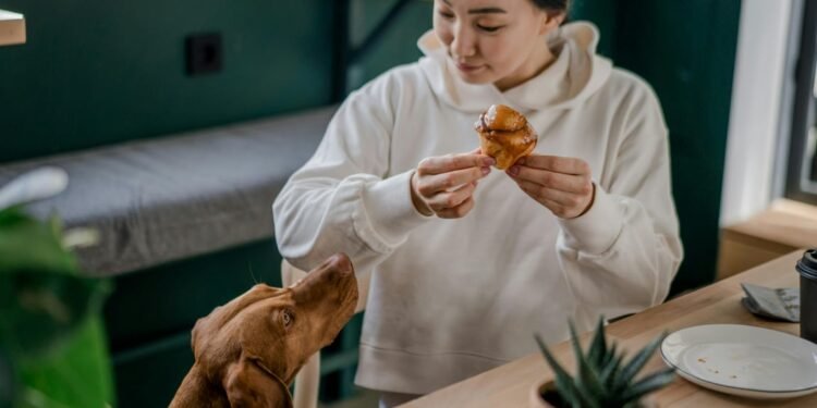 5 Rekomendasi Pet Friendly Cafe di Jakarta untuk Hangout di Akhir Pekan