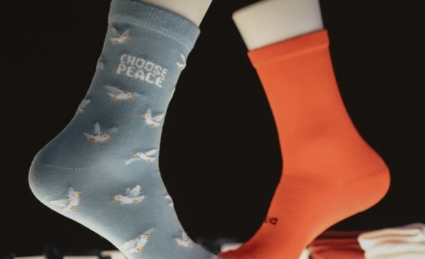 Every Step at ASHTA Brings Art, Play, and Culture