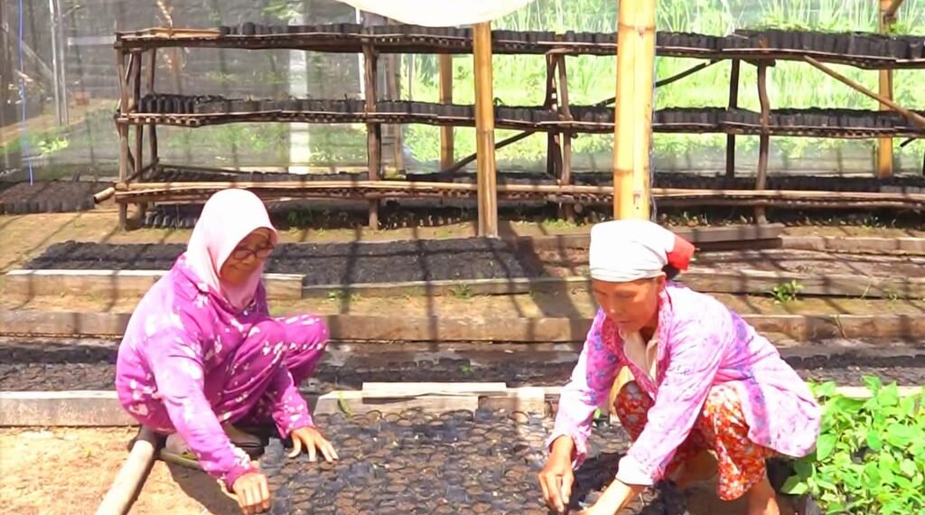 MIND ID Bina Lebih dari 10.000 UMKM untuk Perkuat Ekonomi Lokal dan Tekan Kemiskinan