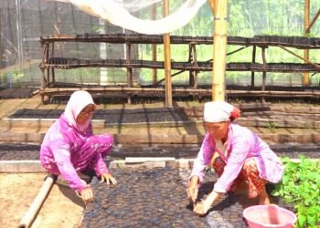 MIND ID Bina Lebih dari 10.000 UMKM untuk Perkuat Ekonomi Lokal dan Tekan Kemiskinan