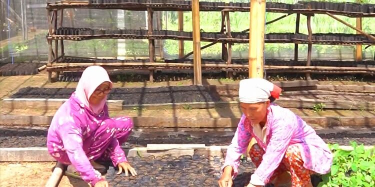 MIND ID Bina Lebih dari 10.000 UMKM untuk Perkuat Ekonomi Lokal dan Tekan Kemiskinan