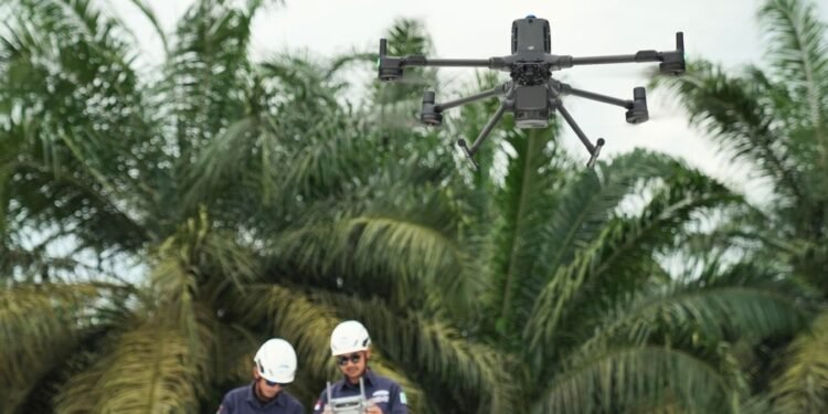 Teknologi LiDAR Zenmuse L3: Pemetaan Presisi di Area Perkebunan Berkanopi Lebat