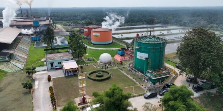 ROA PalmCo Tembus 7,9 Persen, Sinyal Penguatan Kinerja Aset Holding Perkebunan Nusantara