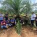 Holding Perkebunan Nusantara melalui PTPN IV Regional V Mutasikan TBM-3 ke TM-1 Seluas 1.119 Hektare pada Awal 2026