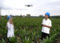 Holding Perkebunan Nusantara Percepat Transformasi Digital, PalmCo Sertifikasi Operator Drone Perkuat Sistem Pemantauan Kebun