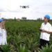 Holding Perkebunan Nusantara Percepat Transformasi Digital, PalmCo Sertifikasi Operator Drone Perkuat Sistem Pemantauan Kebun