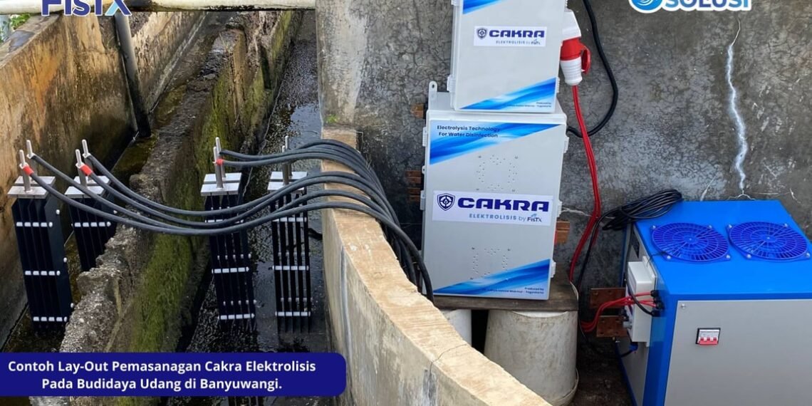 Era Baru Budidaya Udang Indonesia Tiba : FisTx Terapkan Sistem Perlindungan Berlapis UV dan Elektrolisis di Tambak Banyuwangi