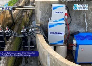 Era Baru Budidaya Udang Indonesia Tiba : FisTx Terapkan Sistem Perlindungan Berlapis UV dan Elektrolisis di Tambak Banyuwangi