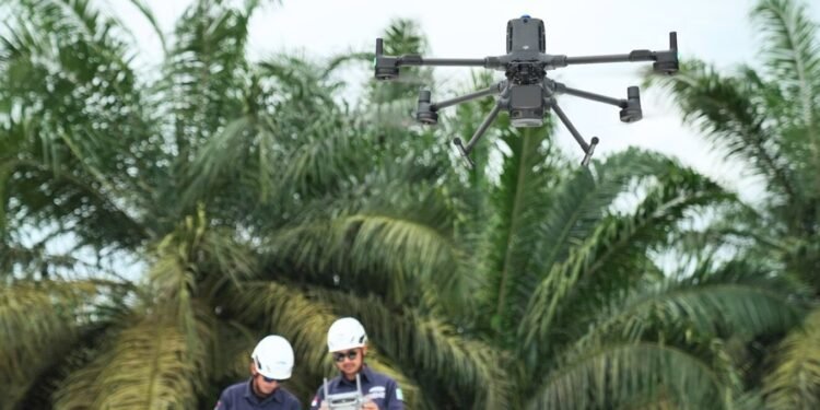 Manajemen Vegetasi dan Analisis Koridor Transmisi dengan Software LiDAR Terrasolid