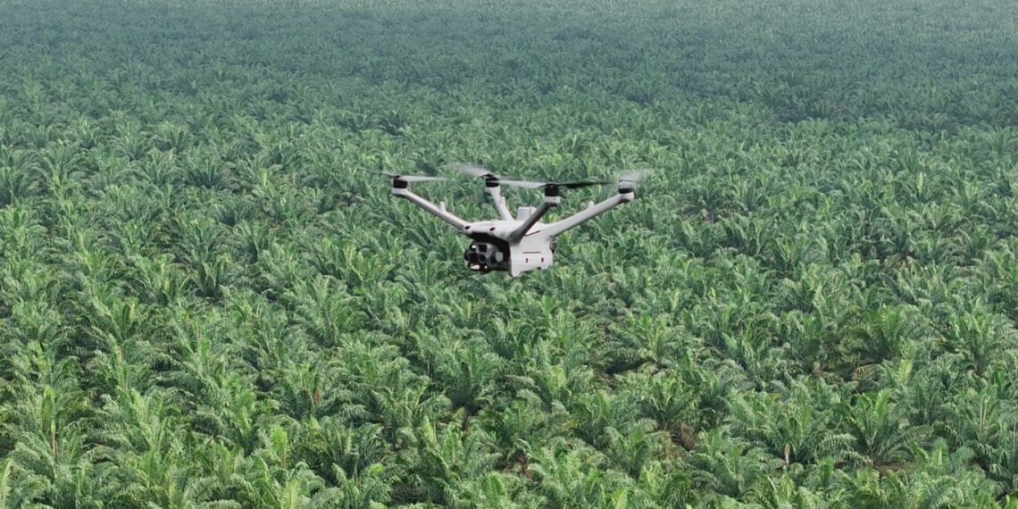 Pemantauan Keamanan Hutan dan Deteksi Kebakaran Lahan dengan DJI Dock 3