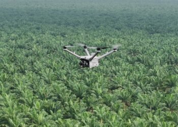 Pemantauan Keamanan Hutan dan Deteksi Kebakaran Lahan dengan DJI Dock 3