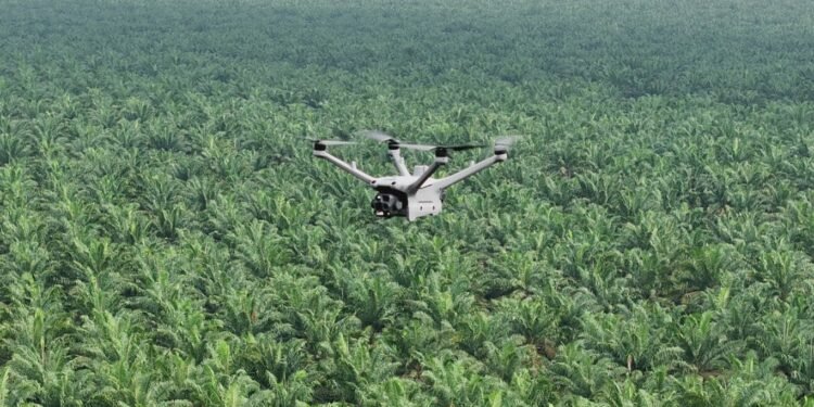 Pemantauan Keamanan Hutan dan Deteksi Kebakaran Lahan dengan DJI Dock 3