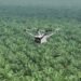 Pemantauan Keamanan Hutan dan Deteksi Kebakaran Lahan dengan DJI Dock 3