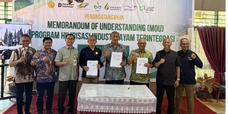 Holding Perkebunan Nusantara Akselerasi Ketahanan Pangan, PTPN I Bangun Ekosistem Terintegrasi di Bone