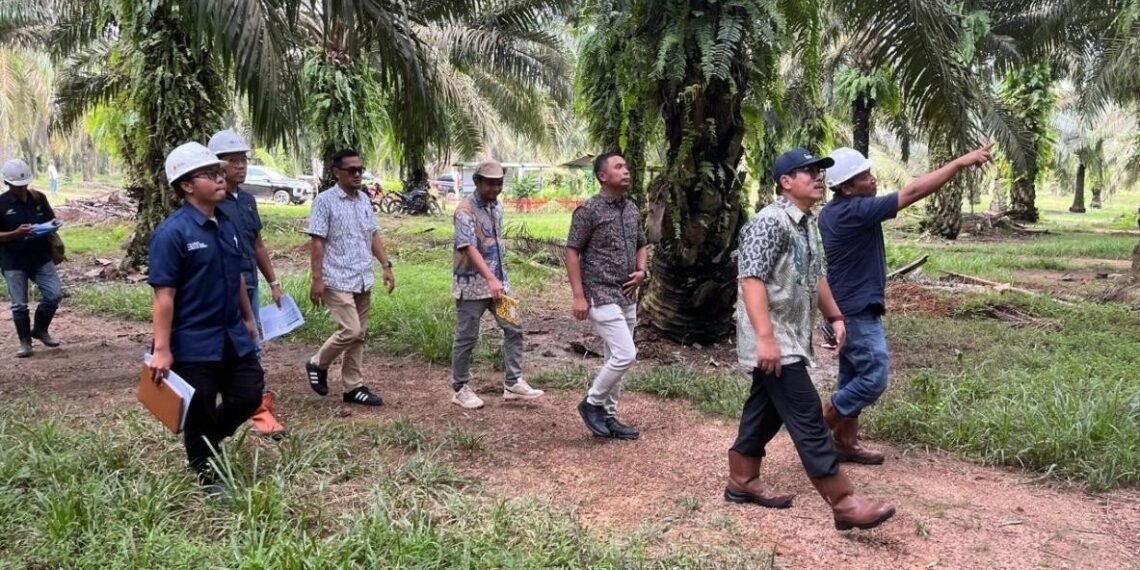 Holding Perkebunan Nusantara Perkuat Pengawasan Operasional, PTPN IV Regional VII Tingkatkan Produktivitas Kebun