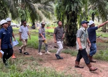 Holding Perkebunan Nusantara Perkuat Pengawasan Operasional, PTPN IV Regional VII Tingkatkan Produktivitas Kebun