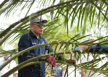 Holding Perkebunan Nusantara Siaga Hadapi Kemarau, PalmCo Perkuat Deteksi Dini Karhutla dan Strategi Agronomi