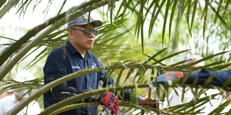 Holding Perkebunan Nusantara Siaga Hadapi Kemarau, PalmCo Perkuat Deteksi Dini Karhutla dan Strategi Agronomi