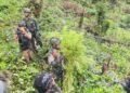 Jenderal Lucky Avianto Turun Gunung Hancurkan Ladang Ganja Di Pedalaman Rimba, Paska ‘Dilegalkan’ OPM Papua