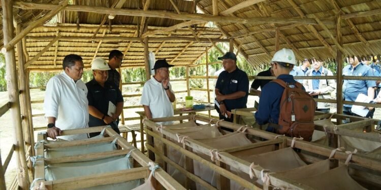 Perkuat Strategi Peningkatan Produksi dan Pengamanan Aset, Operational Strategic Advisory PTPN III (Persero) Kunjungi PTPN IV Regional VII