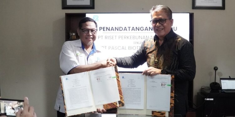 Holding Perkebunan Nusantara Dorong Sinergi Riset dan Industri, PT RPN Jalin Kemitraan Strategis dengan Pascal Biotech