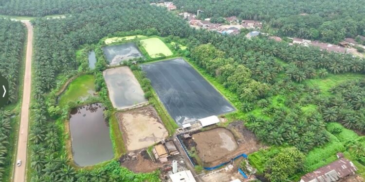 Hadapi Gejolak Energi Global, Holding Perkebunan Nusantara Andalkan PLTBg PalmCo