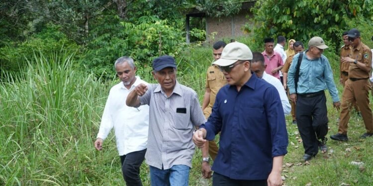 Didorong Kementan, Holding Perkebunan Nusantara Percepat Hilirisasi Gambir Nasional