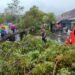 BPBD Gerak Cepat, Pohon Tumbang di Sejumlah Wilayah Berhasil Dievakuasi