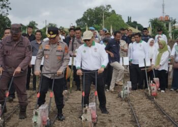 Dukung Ketahanan Pangan, Holding Perkebunan Nusantara Lewat PalmCo Perkuat Kemitraan Petani di Jambi