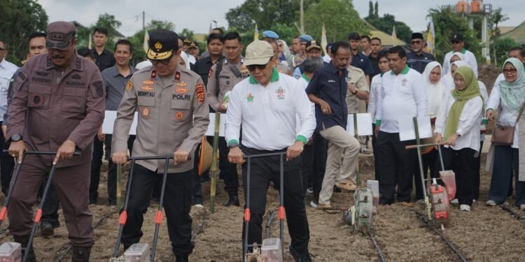 Dukung Ketahanan Pangan, Holding Perkebunan Nusantara Lewat PalmCo Perkuat Kemitraan Petani di Jambi