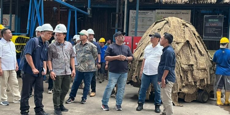 Holding Perkebunan Nusantara Perkuat Produktivitas Karet, PTPN I Fokus Benahi Kebun Padang Pelawi