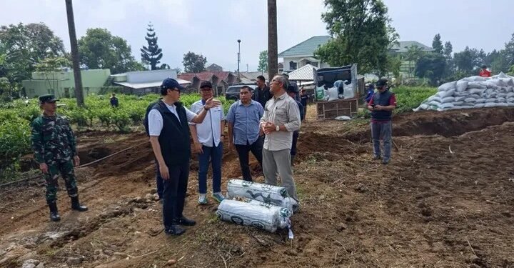 Holding Perkebunan Nusantara Kembangkan Kawasan Bawang Putih Berbasis Konservasi di Jawa Barat