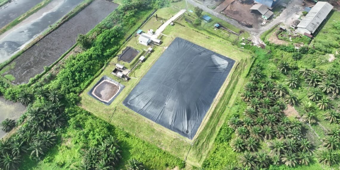 Holding Perkebunan Nusantara Perkuat Transisi Energi Bersih melalui Perdagangan Karbon PTPN IV PalmCo
