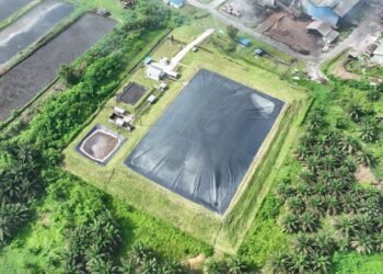Holding Perkebunan Nusantara Perkuat Transisi Energi Bersih melalui Perdagangan Karbon PTPN IV PalmCo