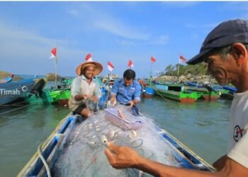 Dari Lahan Terbengkalai Jadi Harapan Baru, Kisah Tuah Bersatu di Pulau Kundur