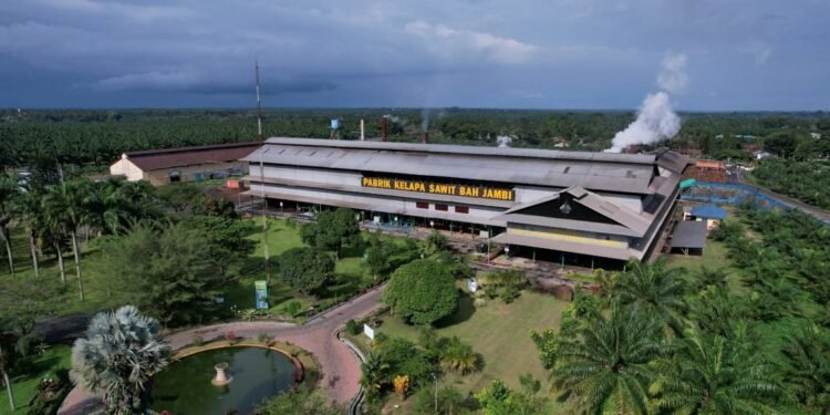 Melalui PalmCo, Holding Perkebunan Nusantara Perluas Akses Digital bagi Sekolah di Pelosok