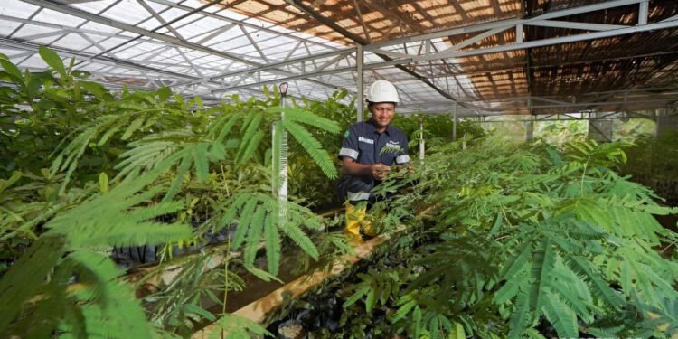 Grup MIND ID Reklamasi 8.000 Hektare Lahan dan Rehabilitasi DAS 37.700 Hektare, Perbaiki Kualitas Keanekaragaman Hayati