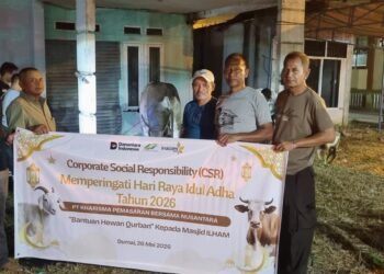 Holding Perkebunan Nusantara Tebar Manfaat Idul Adha, KPBN Unit Dumai Salurkan Hewan Kurban untuk Masyarakat