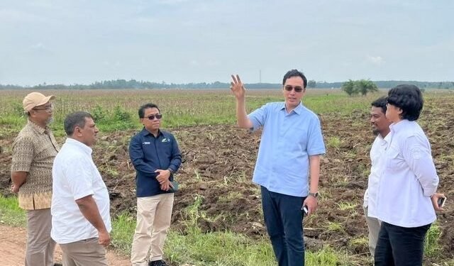Dukung Program Mandiri Energi Nasional, Holding Perkebunan Nusantara Siapkan 10 Ribu Hektare Lahan Singkong di Lampung