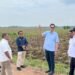 Dukung Program Mandiri Energi Nasional, Holding Perkebunan Nusantara Siapkan 10 Ribu Hektare Lahan Singkong di Lampung